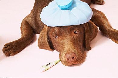 《战神：诸神黄昏》临近发售 有玩家已经提前上手游玩